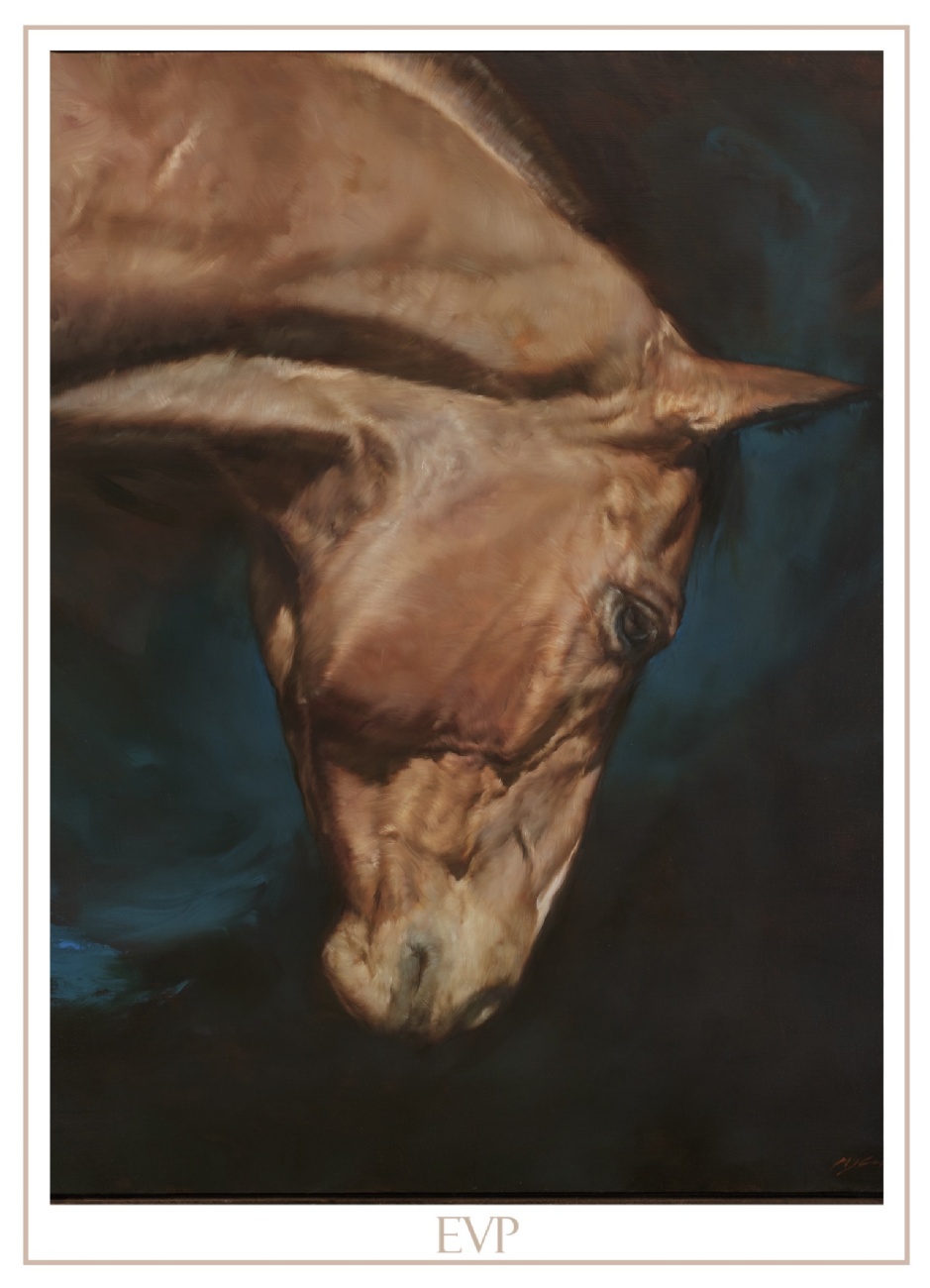 Photo rad288BE_2026_3_9.jpg