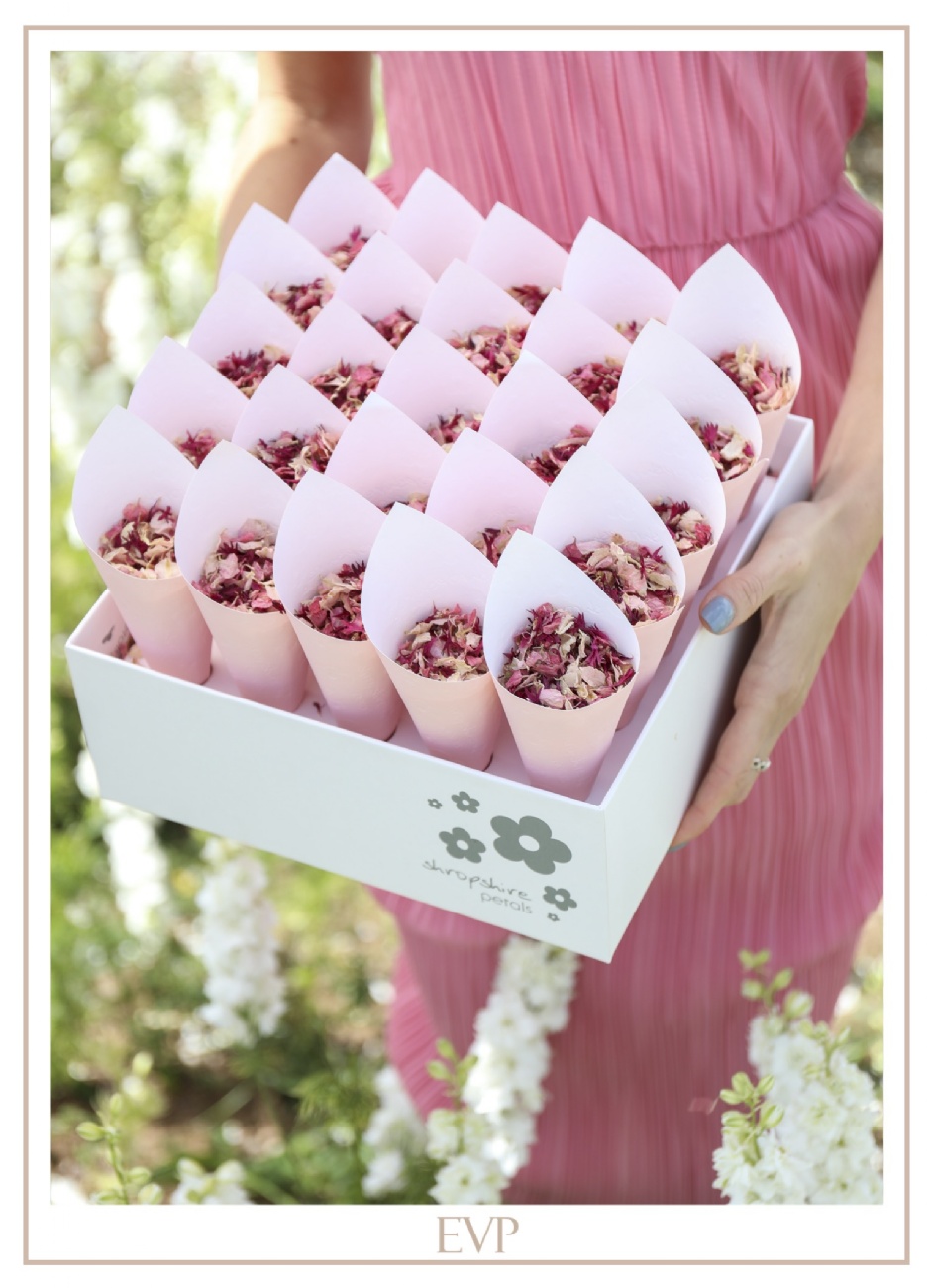 Photo rad9EDA5_2026_3_9.jpg