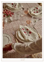 The Wedding Present Company